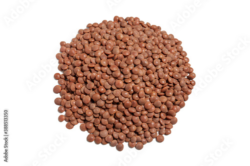 lentil beans isolated on white background