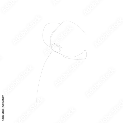 SINGLE-LINE DRAWING: Botanical 25. This hand-drawn, continuous, line illustration is part of a collection inspired by the drawings of Picasso. Each gesture sketch was created by hand.