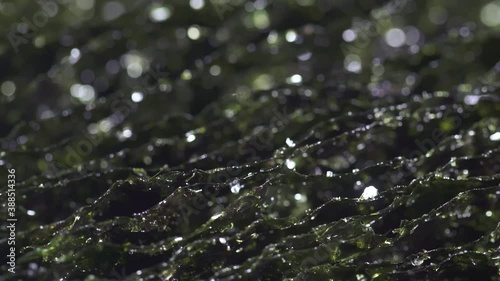 A plate of dried seaweed