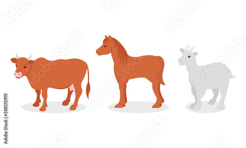 Horse with Mane and Horned Cow as Farm Animal Vector Set