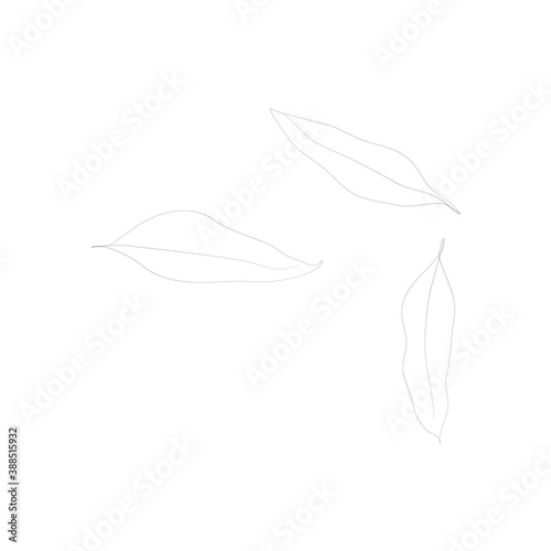 SINGLE-LINE DRAWING:3 Leaves, Botanical 29. This hand-drawn, continuous, line illustration is part of a collection inspired by the drawings of Picasso. Each gesture sketch was created by hand.