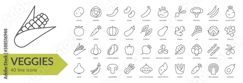 Veggies line icon set. Isolated signs on white background. Vector illustration. Collection