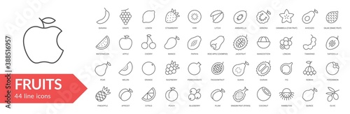 Fotomurale Fruits line icon set