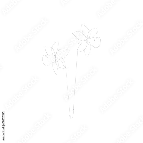 SINGLE-LINE DRAWING: Flower, Botanical 31. This hand-drawn, continuous, line illustration is part of a collection inspired by the drawings of Picasso. Each gesture sketch was created by hand.