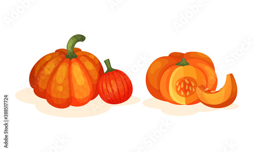 Round Pumpkin with Cut Section Showing Seeds and Pulp Vector Set