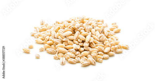 grain barley on a white background