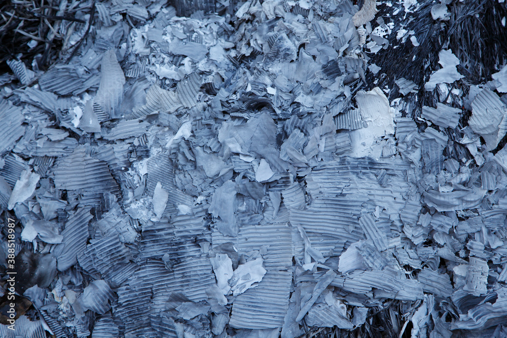 Obraz premium ゴミを燃やした後の灰