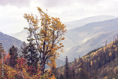 Autumn mountains