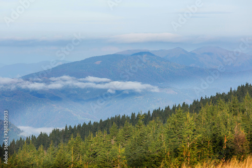 Fototapeta Naklejka Na Ścianę i Meble -  Carpathian mountains