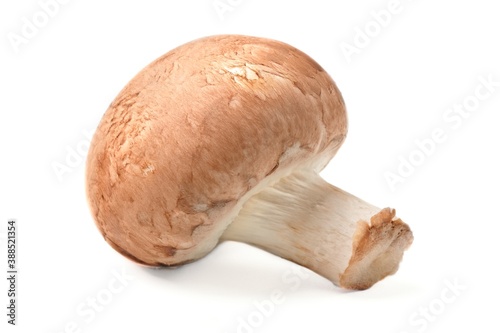Champignon Mushroom isolated on white background. Healthy food concept.