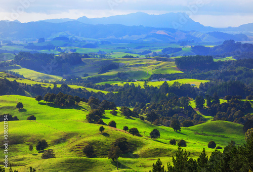 New Zealand hills