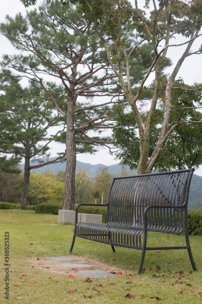 metal bench on green grass, Empty bench in the park. metal bench on green grass, Empty bench in the park.