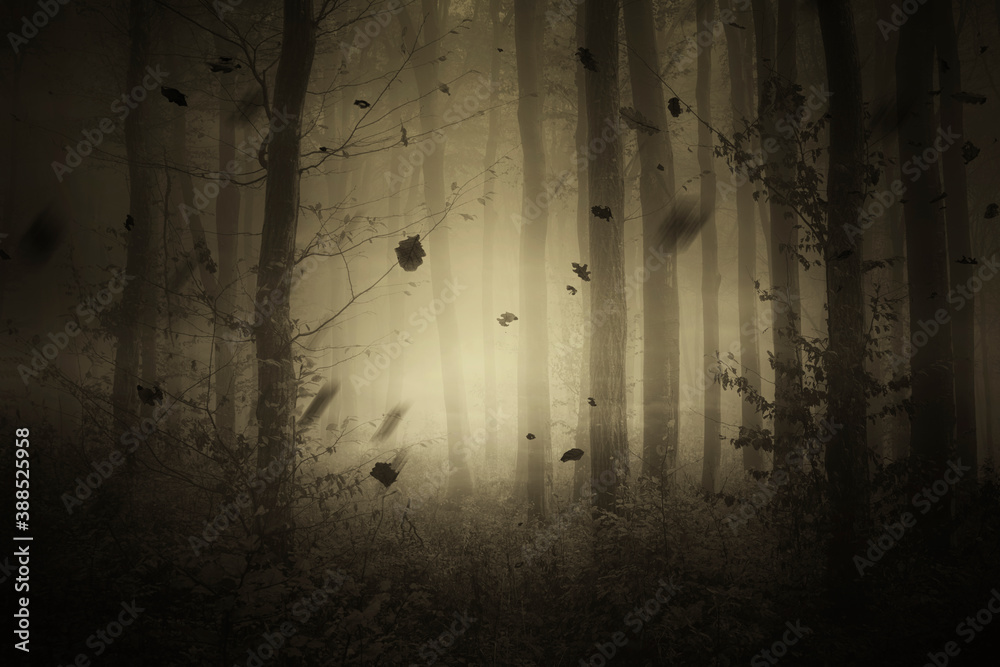 dark fantasy forest with leaves falling in autumn