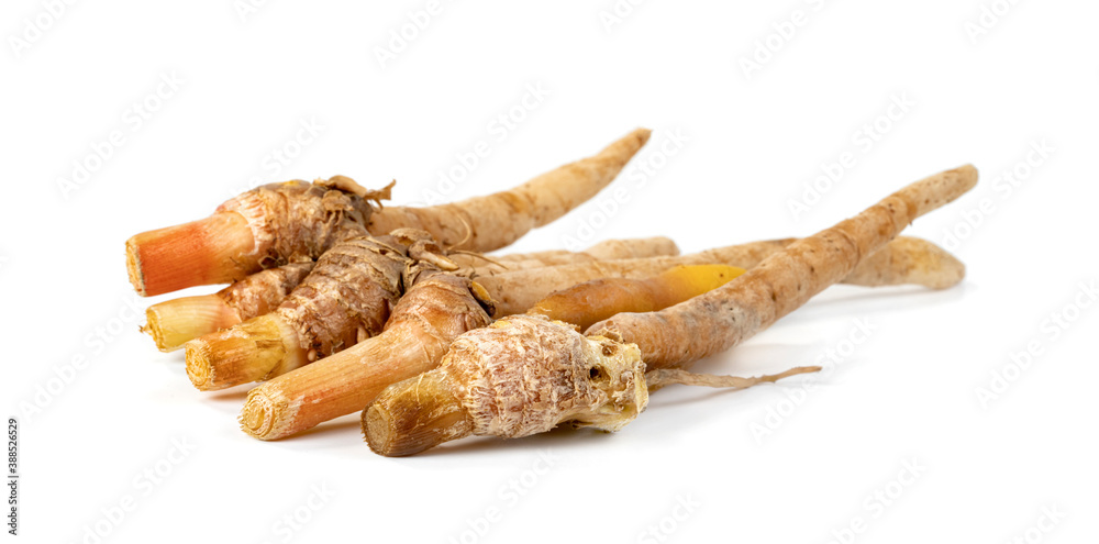 finger root or Chinese's Ginger isolated on the white background. finger root or Chinese's Ginger isolated on the white background.