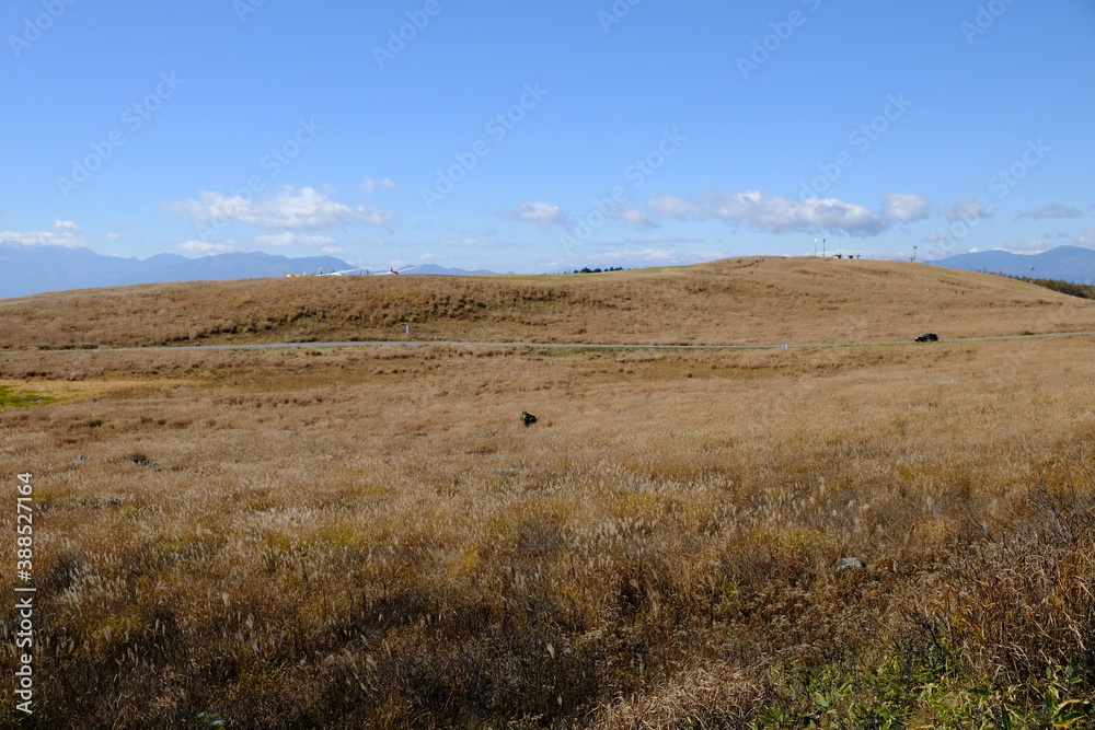 快晴の野原 快晴の野原