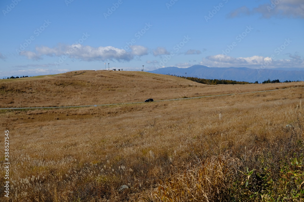 Obraz premium 快晴の野原