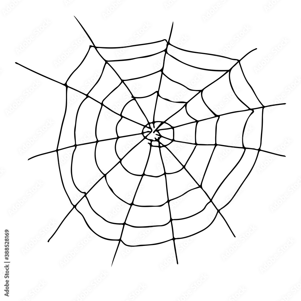 Obraz premium Hand drawing spider web. Vector illustration isolated on white background.