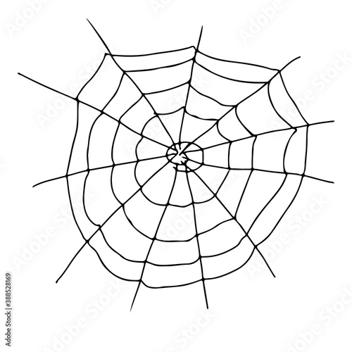 Hand drawing spider web. Vector illustration isolated on white background.