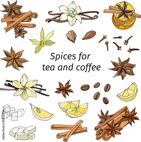 Set of cinnamon, anise, lemon, vanilla and cloves on a white background. Hand-drawn spices for tea and coffee. Realistic illustration for your cafe design, menu design.