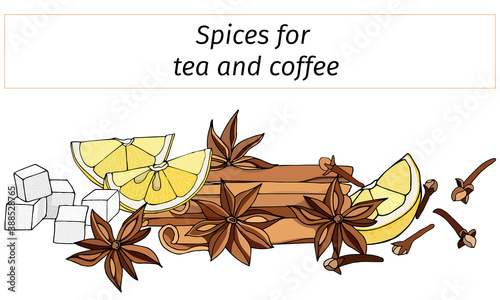 A set of spices for hot winter drinks: cinnamon, anise, lemon and vanilla. Vector illustration isolated on white background.