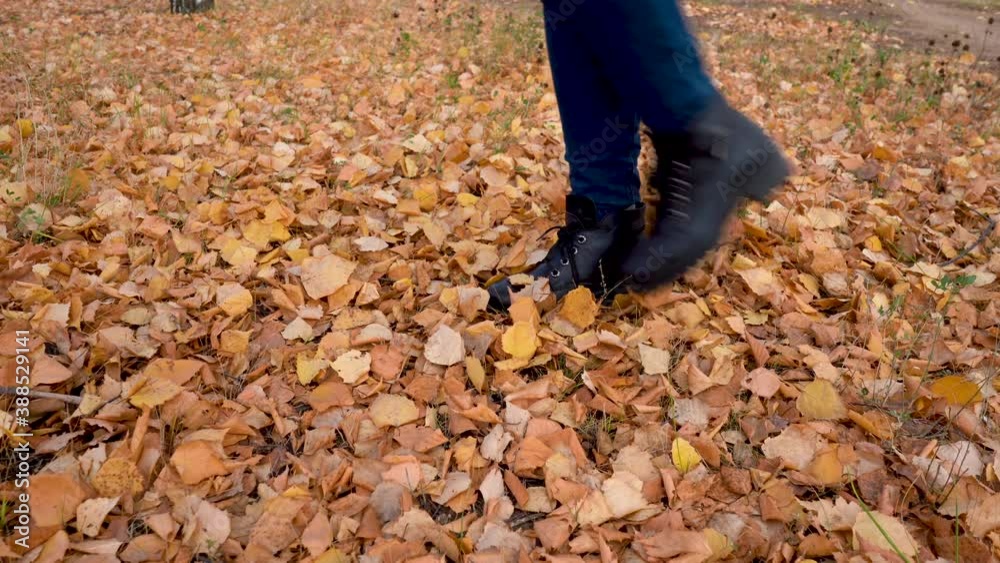 Autumn. A green plastic bottle and other garbage lies on the ground, a female hand in a glove picks it up. Autumn. A green plastic bottle and other garbage lies on the ground, a female hand in a glove picks it up.
