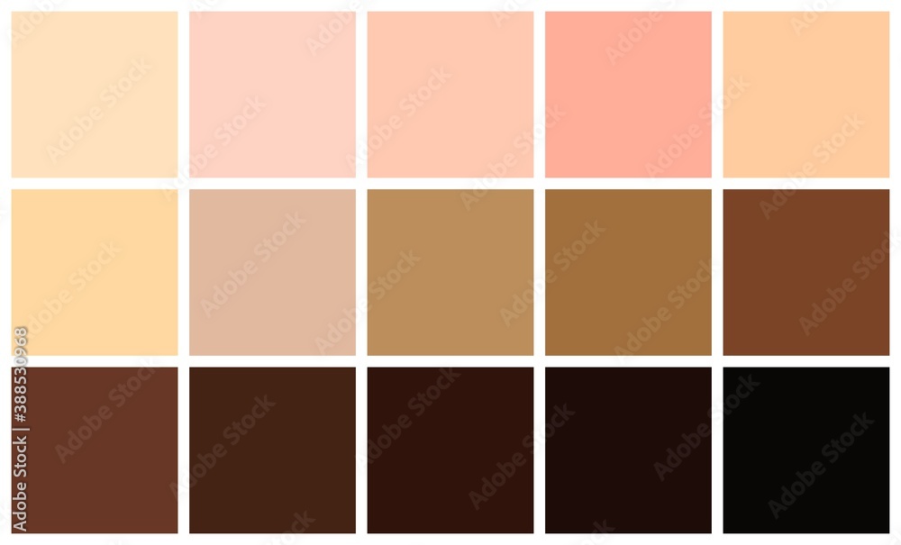 Vecteur Stock Human skin tones color palette set. Skin color from the  lightest to darkest brown hues, coloring of a person face and body  complexion. Vector illustration | Adobe Stock