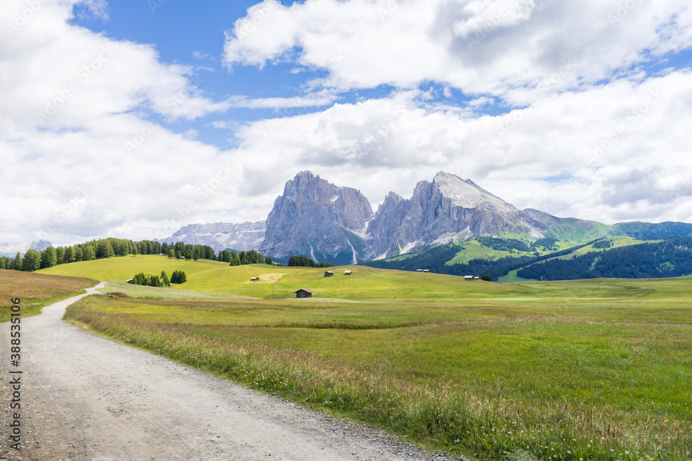 hiking trail and mountains in the back, in Alpe di Siusi, Dolomites, South Tyrol, Italy