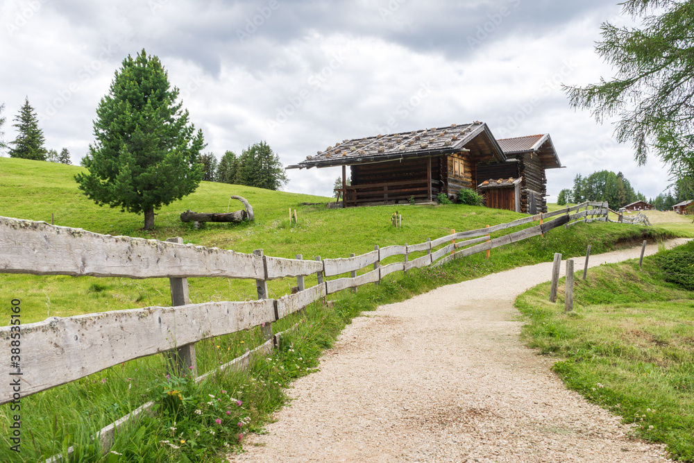 hiking trail and wooden hut and fence  in Alpe di Siusi or Seiser Alm,   Dolomites Alps, South tyrol, Italy.