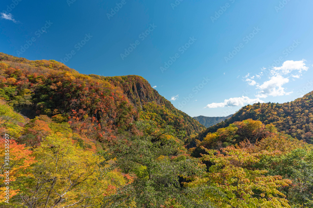 紅葉の山々