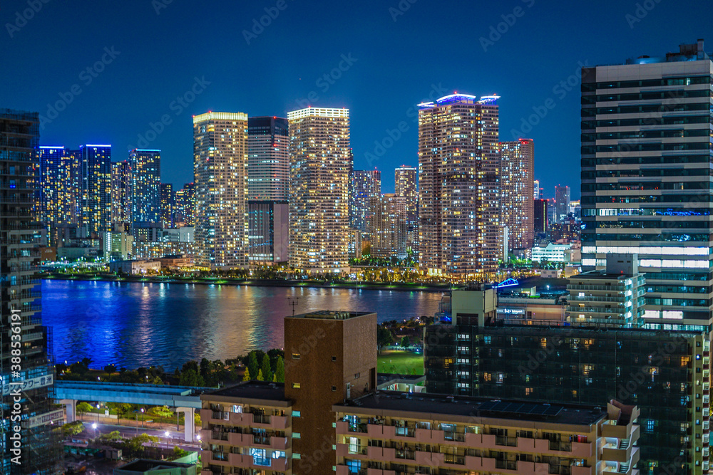 Naklejka premium 豊洲から見える東京の夜景