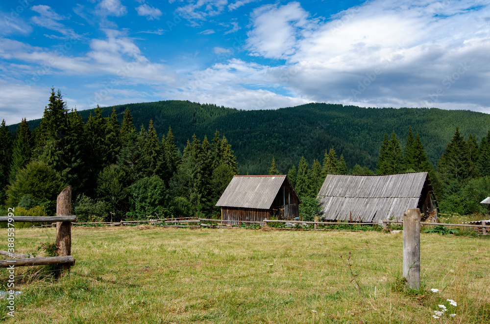 Obraz premium Mountainscape with firs and wooden cabins