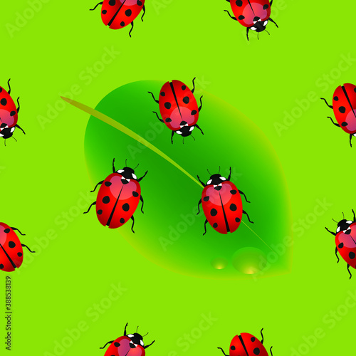 The pattern with ladybirds on a leaf.