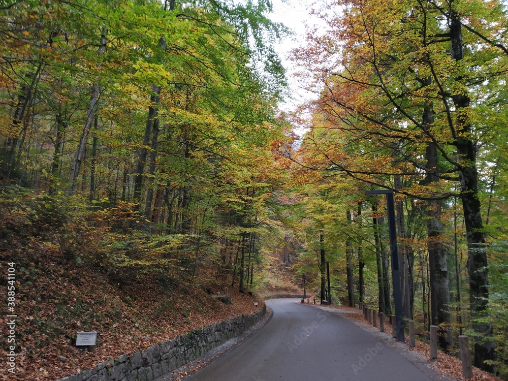 Obraz premium Munich Skyline and Landscapes.