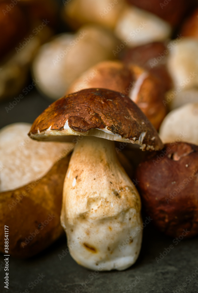 Many, Delicious, ready to cook Mushrooms, close up photography with copy space on a dark grey background Many, Delicious, ready to cook Mushrooms, close up photography with copy space on a dark grey background