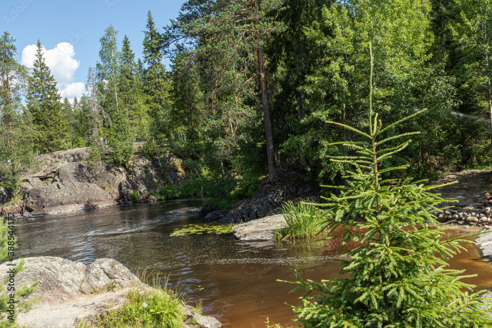 beautiful landscape with cascading waterfall, natural reservoir, river, plants, trees, rocks, mountain in summer in an eco-friendly place Karelia, Russia