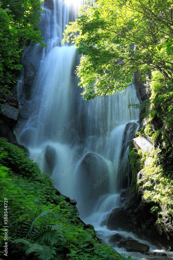 Naklejka premium そうべつ滝