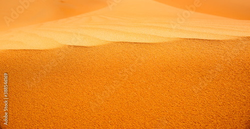 Fototapeta Naklejka Na Ścianę i Meble -  on the top of the sand dune, closeup of a sand dune in the desert, with the colorful details 