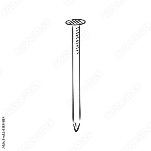 Hand drawn nail heads vector sketch. Doodle drawing. Vector sketch house remodel tool. nail vector sketch illustration