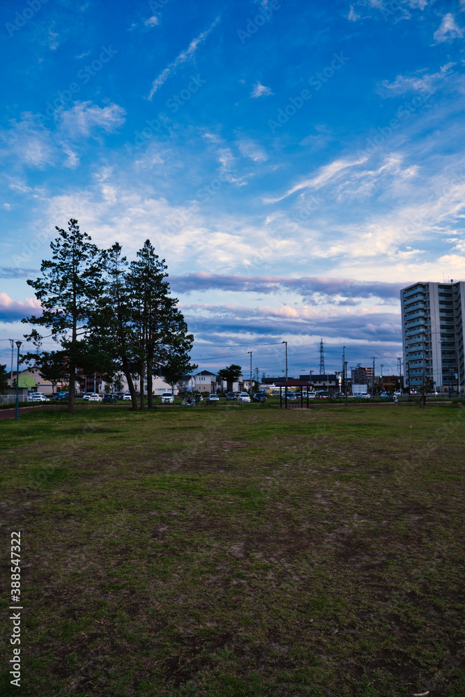 Obraz premium sunset in the park