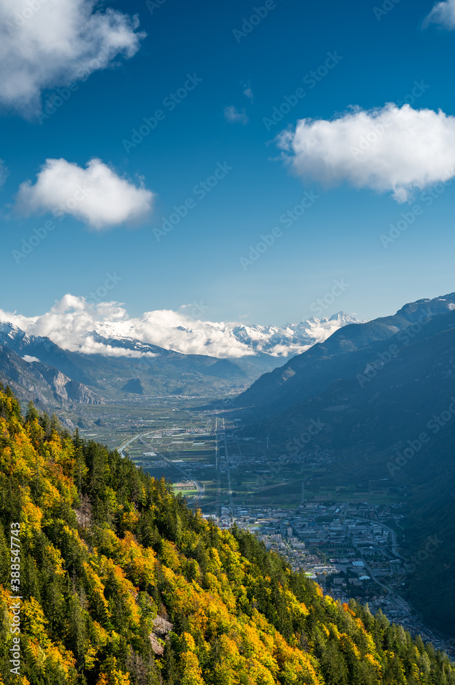 autumn forest over Vallée du Rhone in Valais