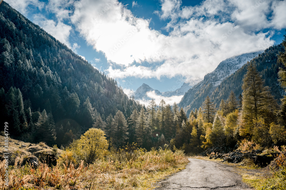 a cold autumn morning in Vallée du Trient, Valais