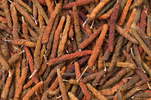 Dry Long pepper pattern background.