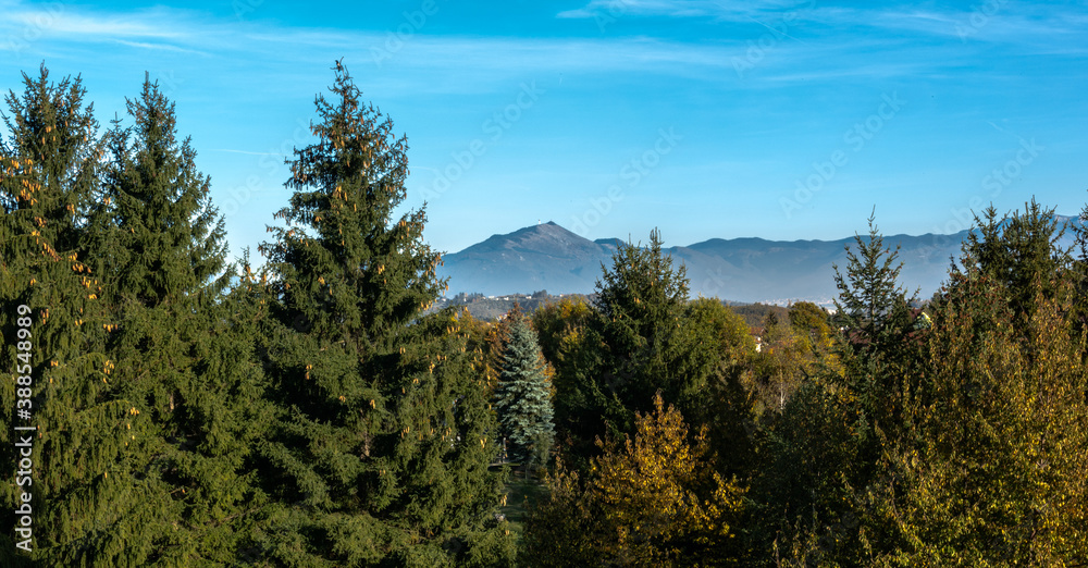Landscape showing forest and mountains in the autumn morning