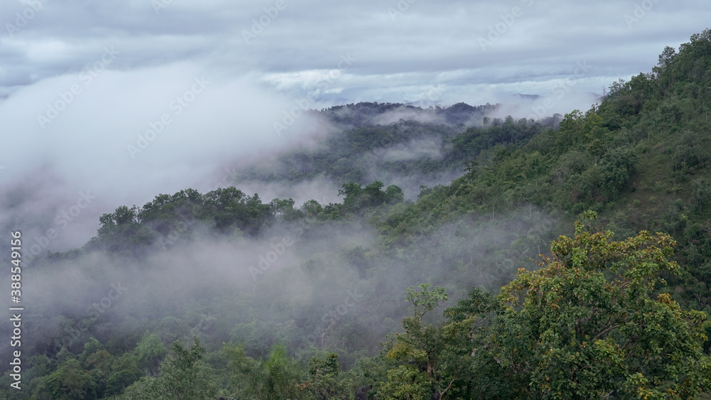 Morning mist & cloudy sky on green forest of Umphang district, Tak, Thailand Morning mist & cloudy sky on green forest of Umphang district, Tak, Thailand