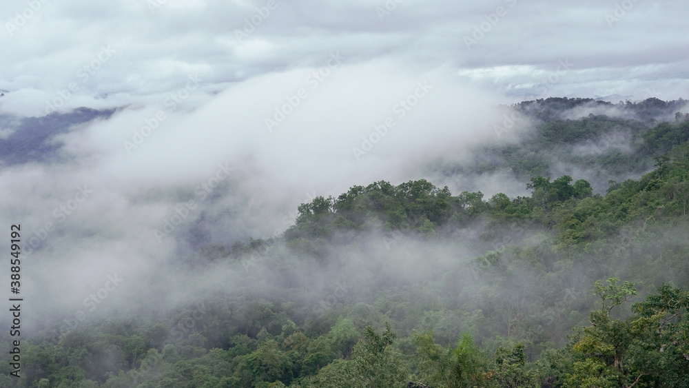 White cloud cover top of the mountain with green forest in Umphang, Tak, Thailand