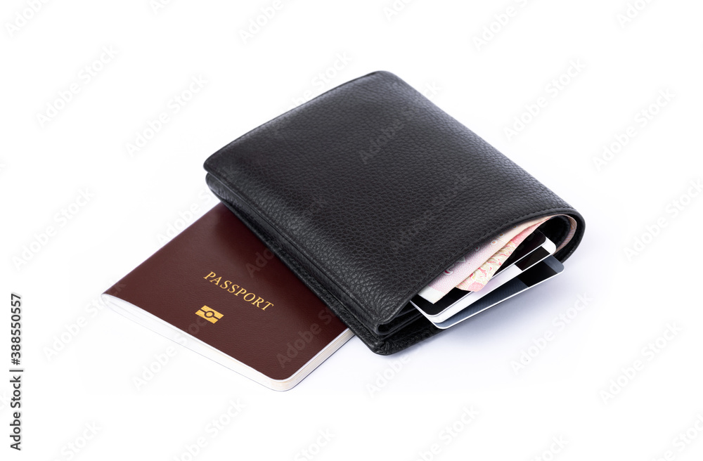 wallet with credit cards and passport book. wallet with credit cards and passport book.