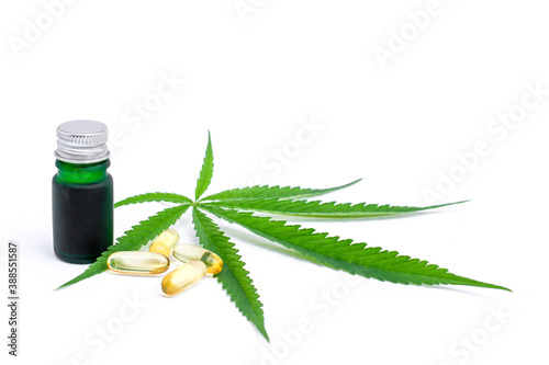 Cannabis hemp essential oil extracted and capsule with marijuana green leaf isolated on white background.