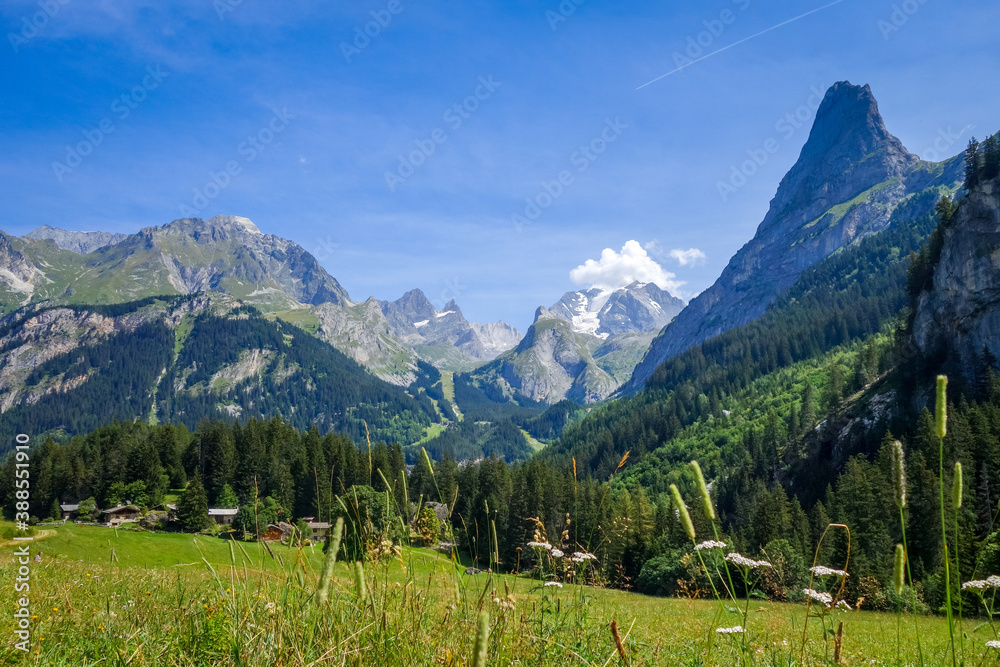 Fototapeta premium Mountain and pastures landscape in French alps
