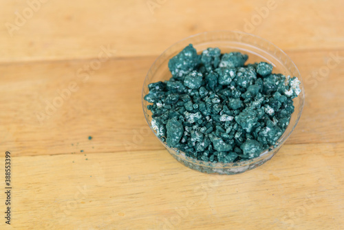 Closeup to Trichoderma harzianum on wood plate. Use for protect plant from Fungi photo