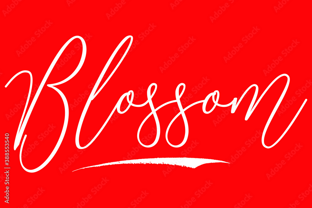 Vecteur Stock Blossom Cursive Typography White Color Text On Red Background  | Adobe Stock